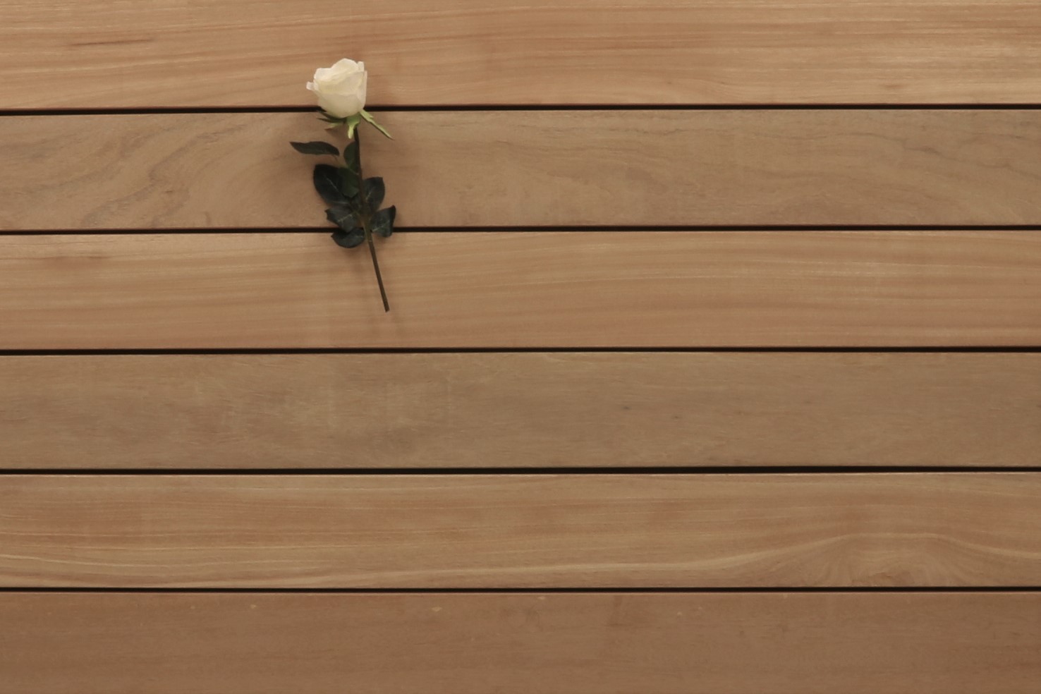 Holzterrasse Bangkirai, glatt, 25 x 145 bis 5490 mm Dielen, Premium (KD) Holz Bretter für die Terrasse, 12,60 €/lfm
