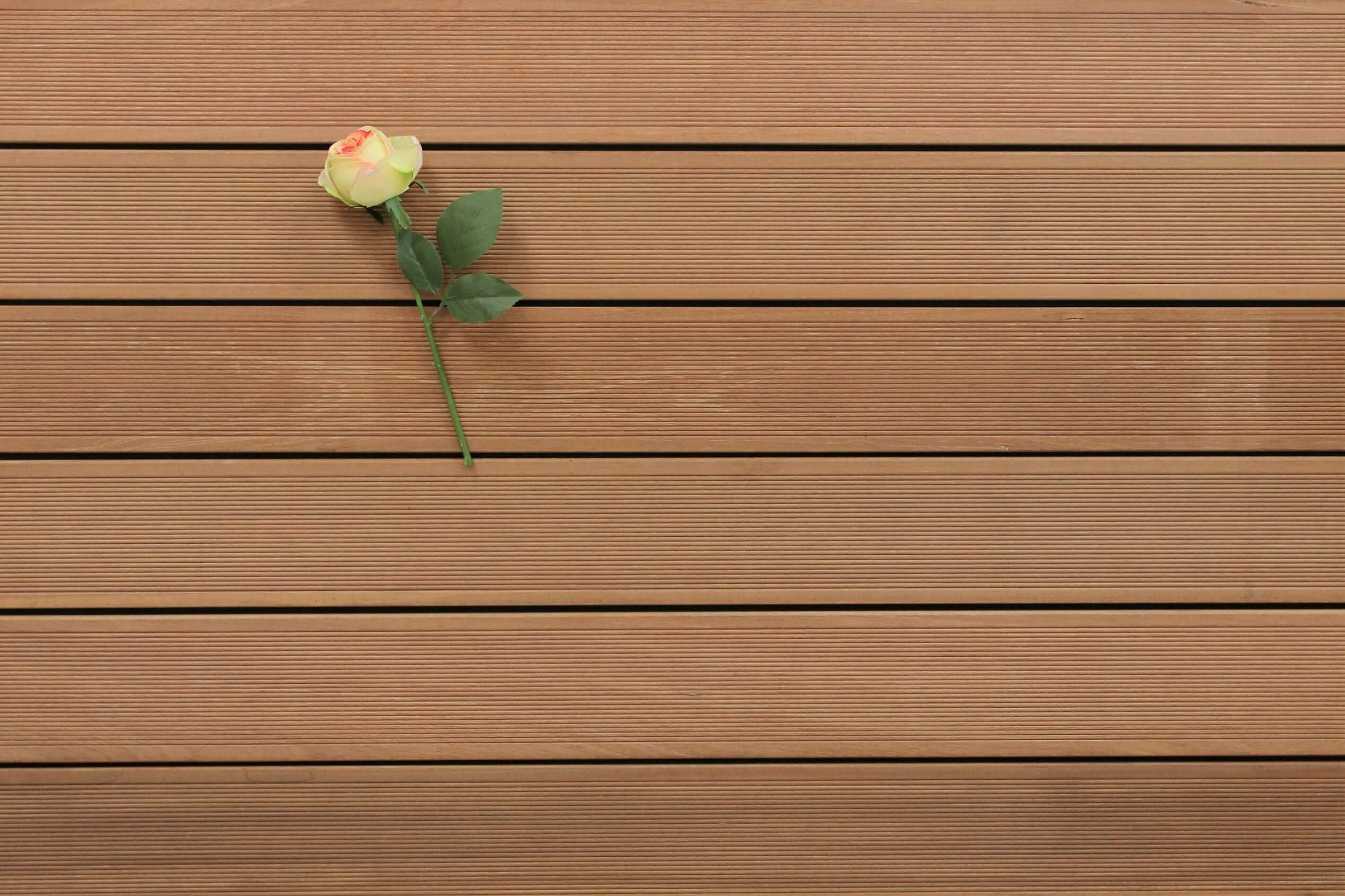 Holzterrasse Bangkirai, fein gerillt, 25 x 145 x 5490 mm Dielen, Premium (KD) Holz Bretter für die Terrasse, 13,30 €/lfm